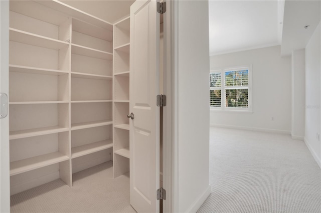 630 Vassar St Unit 2310, Orlando, FL 32804 - view of pantry