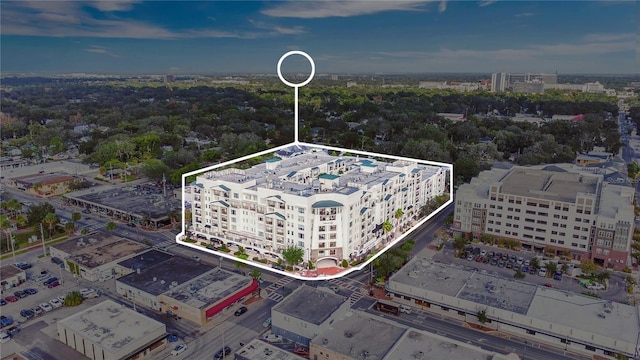 630 Vassar St Unit 2310, Orlando, FL 32804 - aerial view