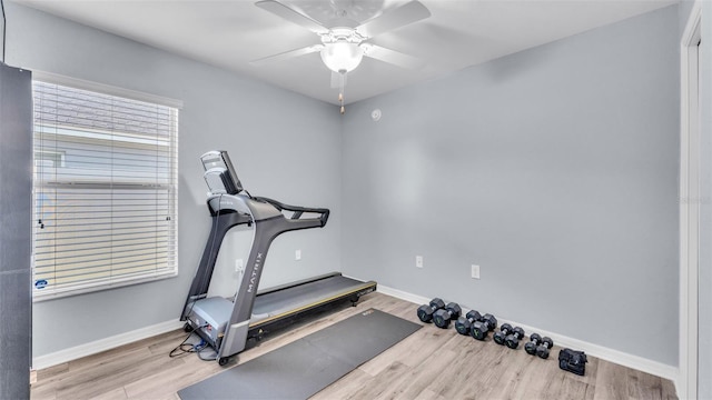 exercise room featuring ceiling fan and light hardwood / wood-style flooring