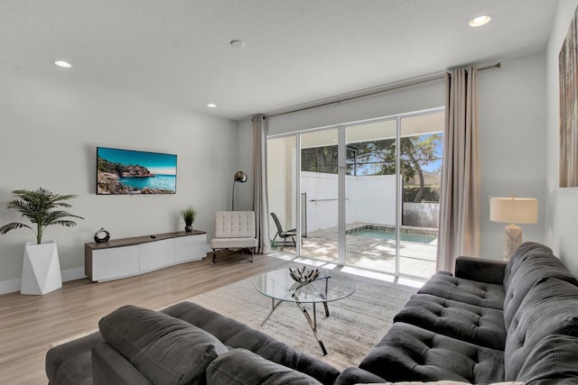 living room featuring light wood-type flooring