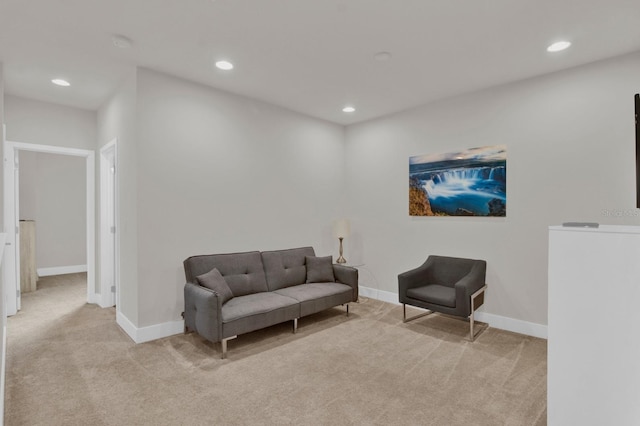 living area with light colored carpet