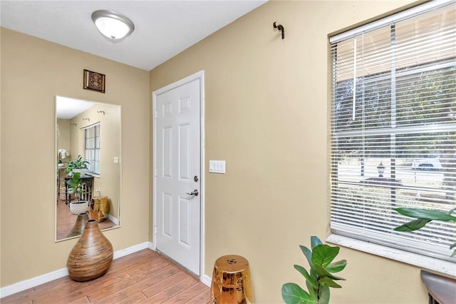 foyer with hardwood / wood-style floors and plenty of natural light