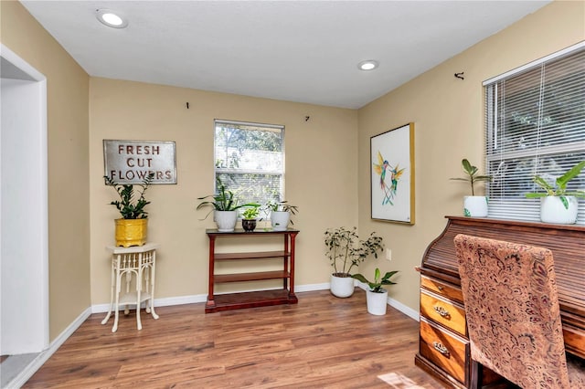 office space featuring hardwood / wood-style flooring