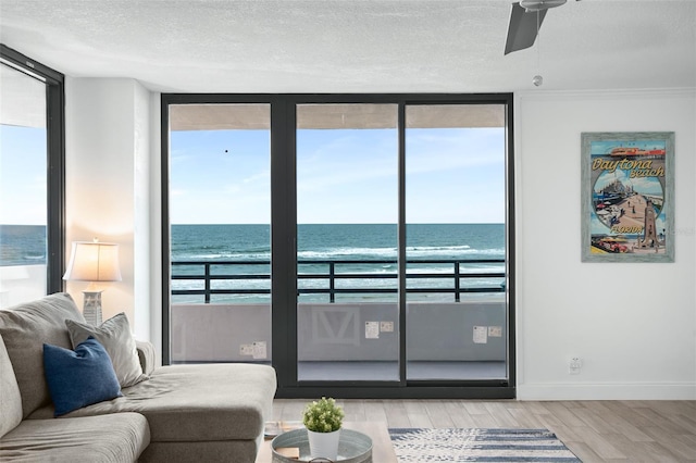 living room with light wood-type flooring, a view of the beach, and a water view