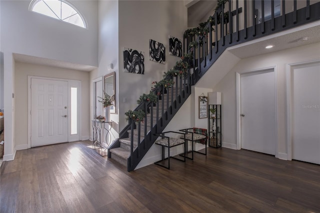 foyer entrance with a high ceiling and dark wood-type flooring