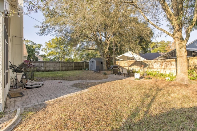 view of yard featuring a patio and a storage shed