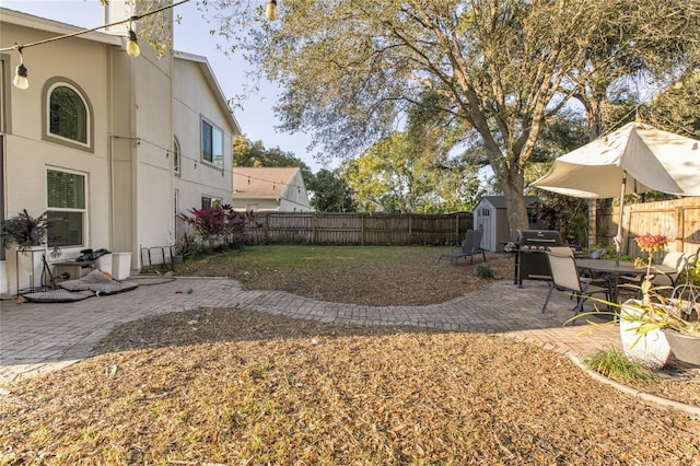 view of yard featuring a patio area and a storage unit