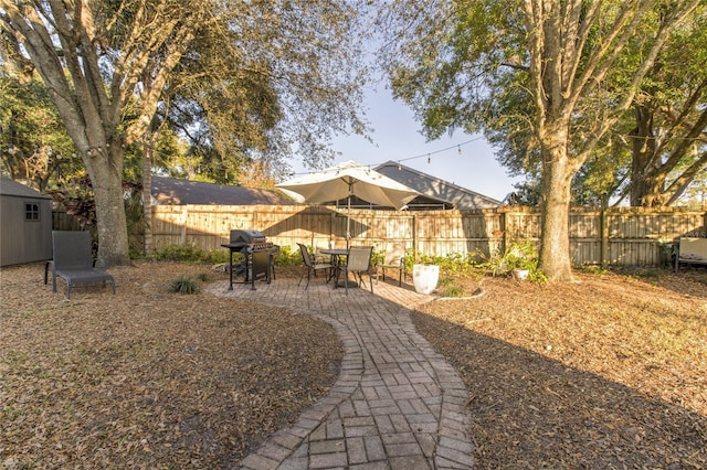 view of yard with a patio area