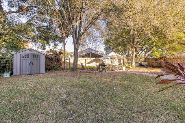 view of yard featuring a storage unit