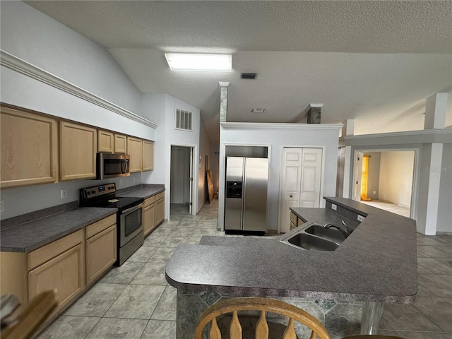 kitchen with sink, stainless steel appliances, lofted ceiling, and a textured ceiling