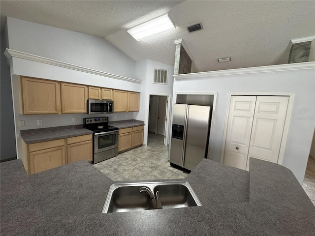 kitchen with sink, a textured ceiling, vaulted ceiling, and appliances with stainless steel finishes