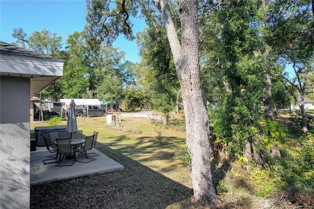 view of yard featuring a patio area