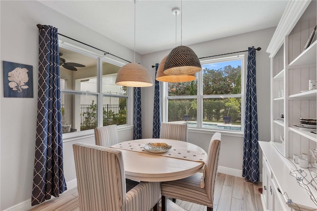 dining area featuring ceiling fan and light hardwood / wood-style flooring