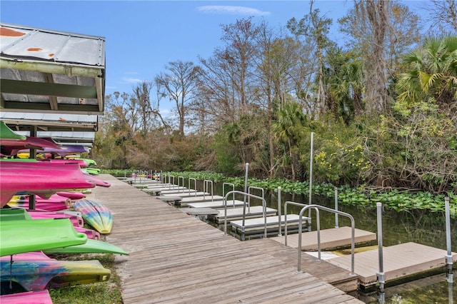 view of dock