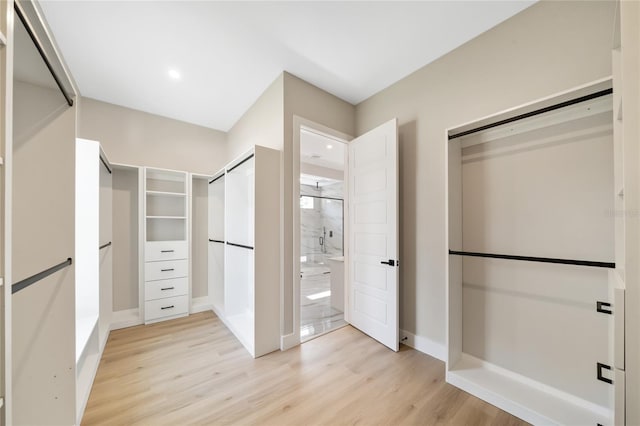 spacious closet featuring light wood-style flooring