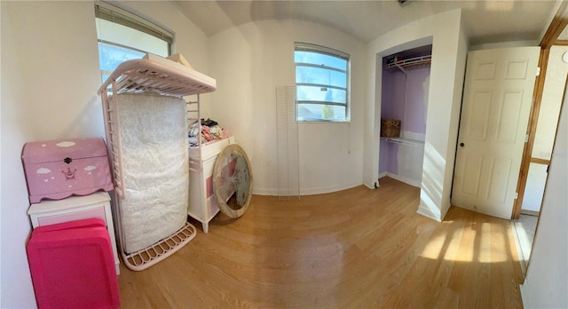 bedroom featuring a closet and wood-type flooring