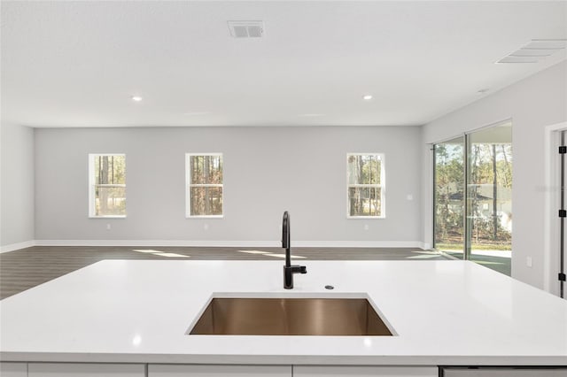 kitchen featuring sink, dishwasher, a center island with sink, and hardwood / wood-style flooring