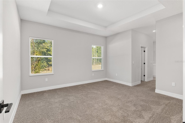 empty room with carpet floors and a tray ceiling