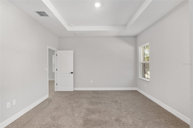 spare room featuring a raised ceiling and carpet