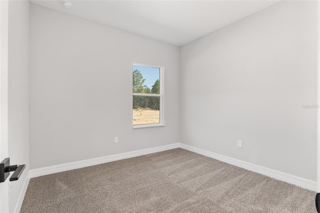 spare room with carpet floors