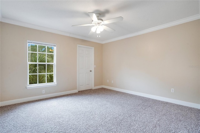 carpeted spare room with ceiling fan and crown molding