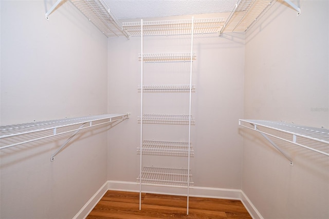 spacious closet with hardwood / wood-style floors