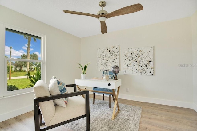 office featuring ceiling fan and light hardwood / wood-style flooring