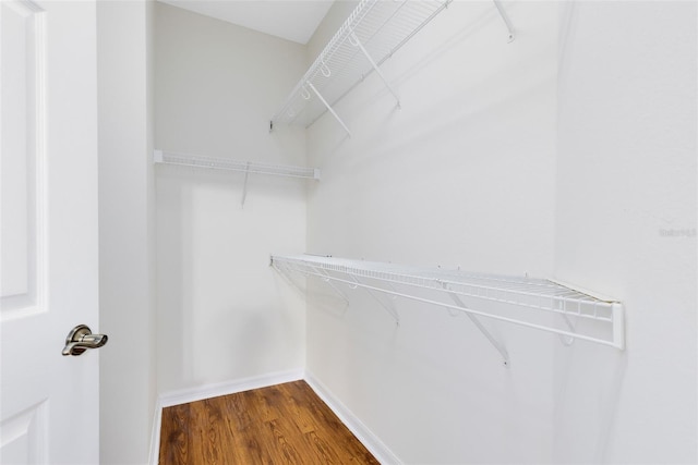 walk in closet with hardwood / wood-style floors