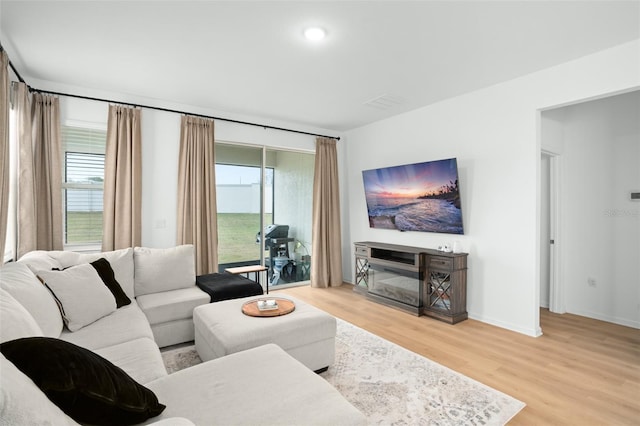 living room featuring wood-type flooring, a wealth of natural light, and a fireplace