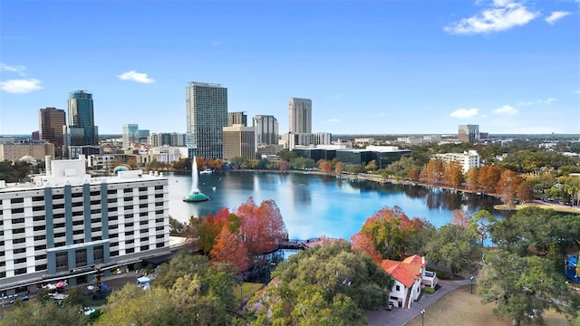 bird's eye view featuring a water view and a city view