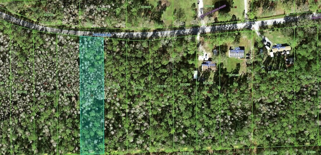 Listing photo 3 for 00 Poyner Rd, Polk City FL 33868