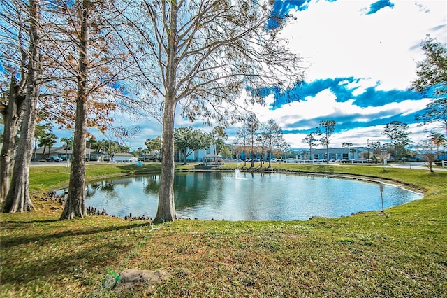 view of water feature