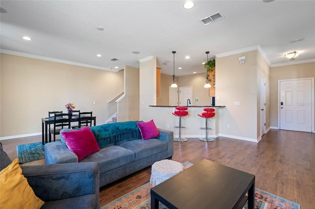 living room with crown molding, dark hardwood / wood-style flooring, and sink