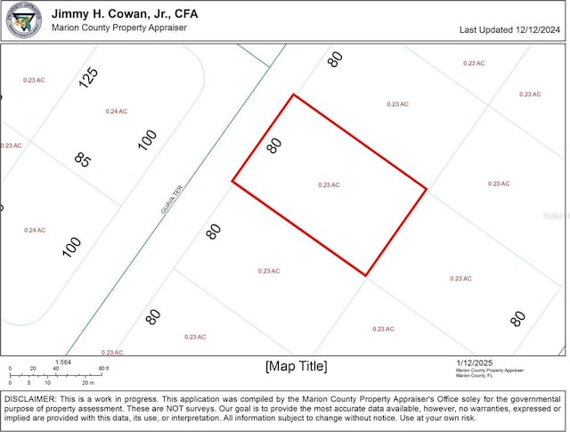 Listing photo 2 for TBD Guava Terrace, Ocklawaha FL 32179