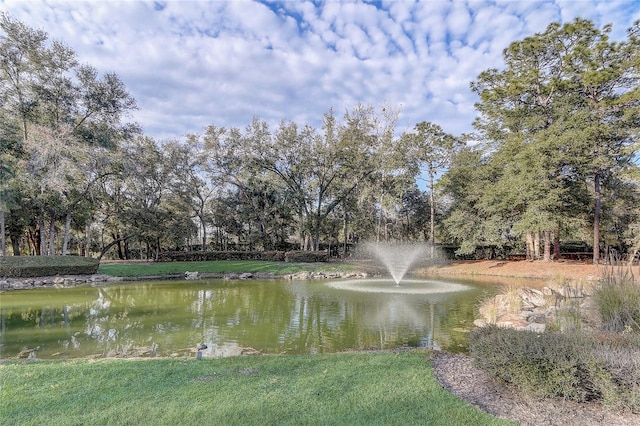 view of water feature