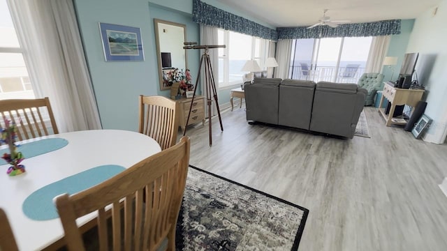 dining space with ceiling fan and light wood-type flooring