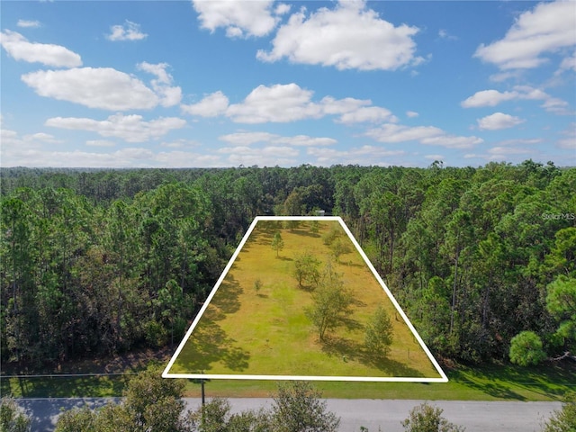 Listing photo 2 for Limpkin Ln, Frostproof FL 33843