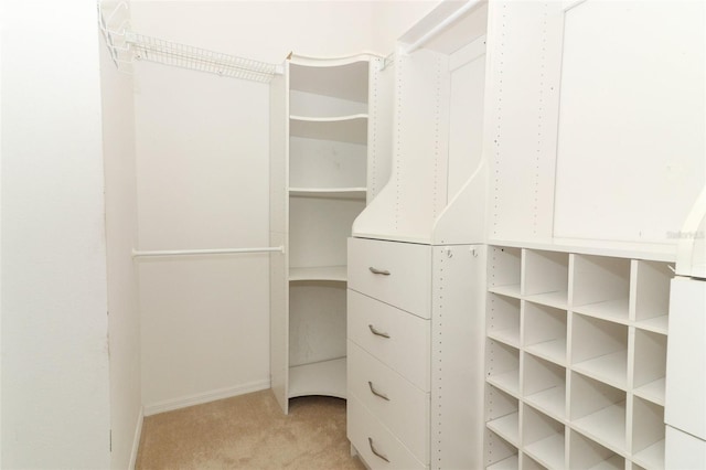 spacious closet featuring light colored carpet