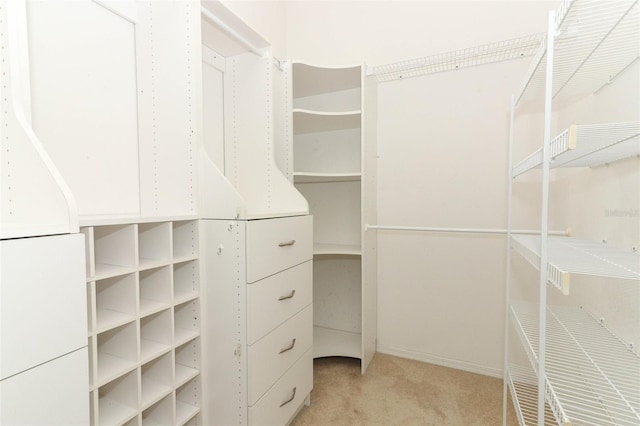 walk in closet with light colored carpet