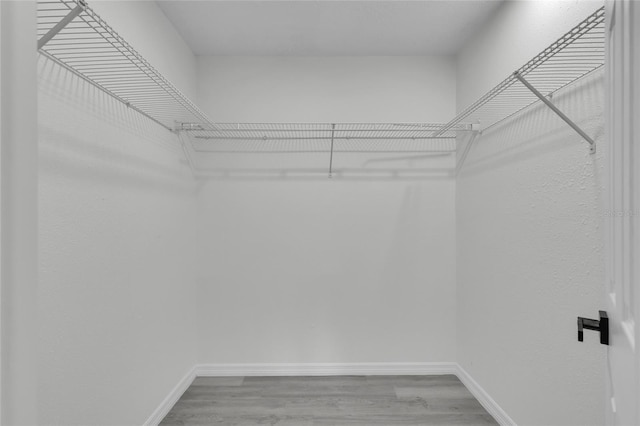 spacious closet with wood-type flooring