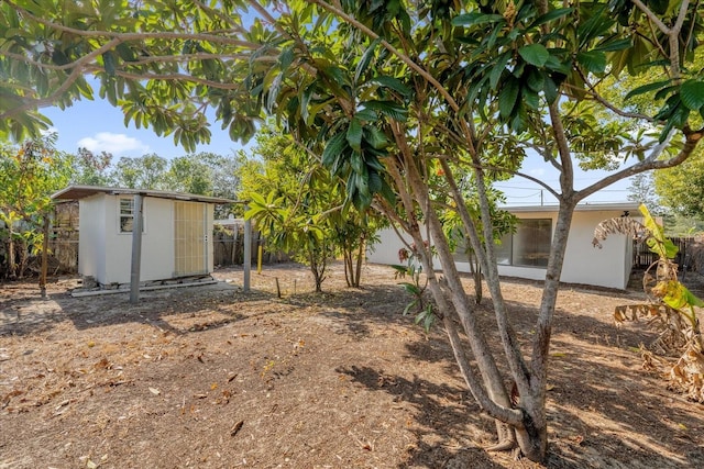 view of yard with a storage shed