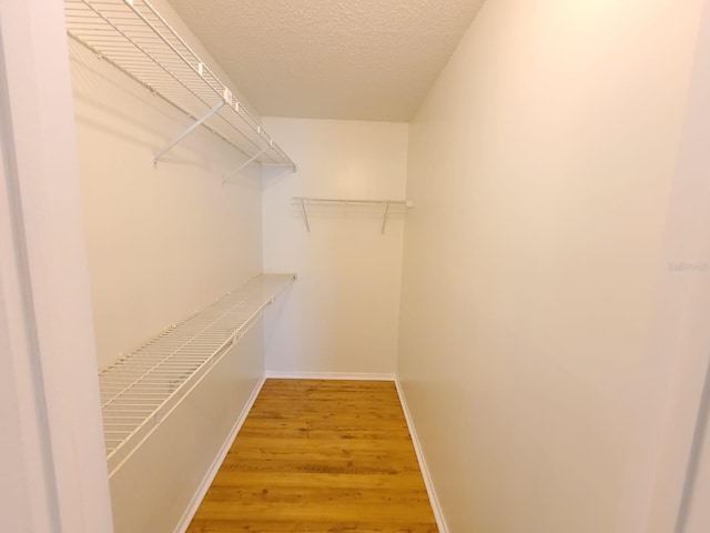 spacious closet with hardwood / wood-style floors