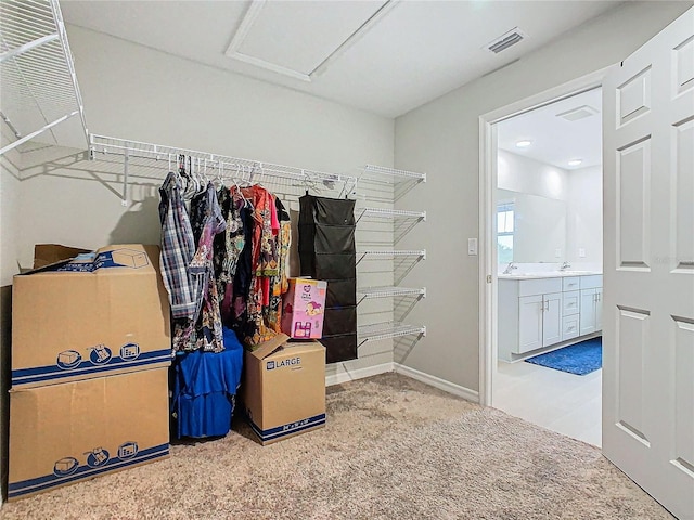 walk in closet featuring carpet floors and sink