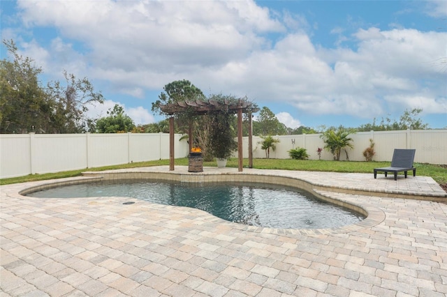 view of pool featuring a patio area