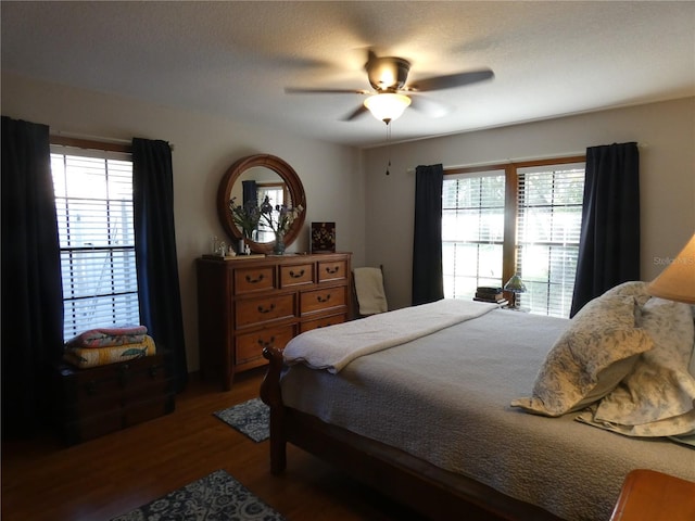 bedroom featuring ceiling fan, dark hardwood / wood-style flooring, and a textured ceiling