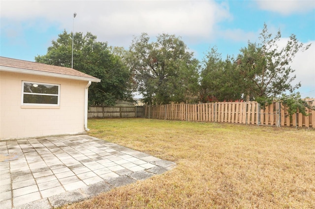 view of yard featuring a patio