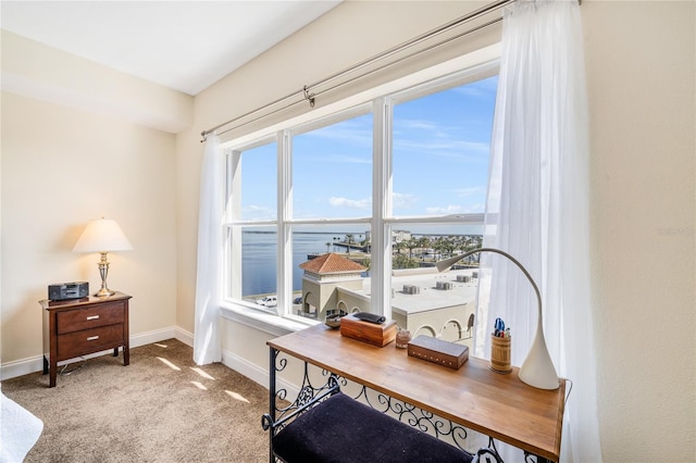 office area featuring a water view, carpet flooring, and a wealth of natural light