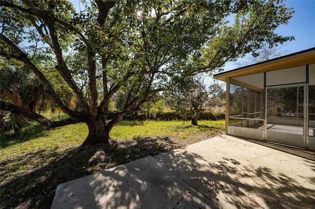 view of yard featuring a patio area and a sunroom