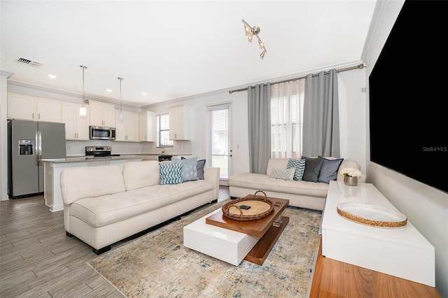 living room featuring crown molding and light hardwood / wood-style floors