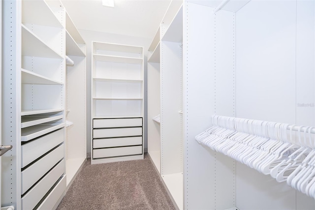 walk in closet featuring carpet floors